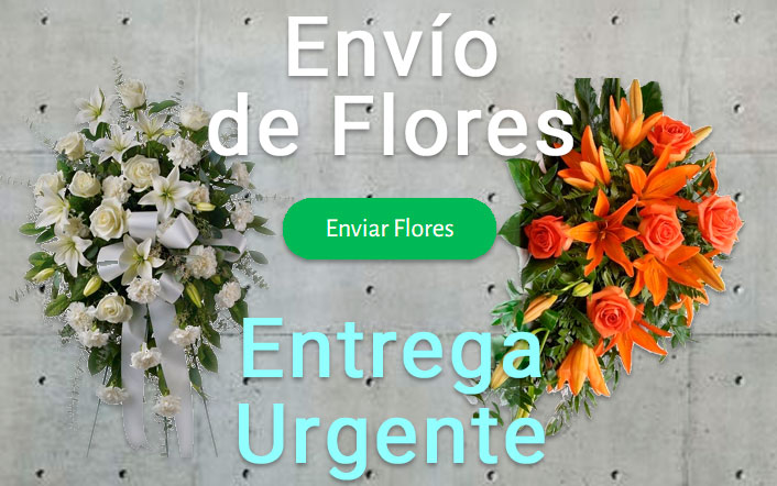 Envío de coronas funerarias urgente a el Servicios Funerarios de Bilbao